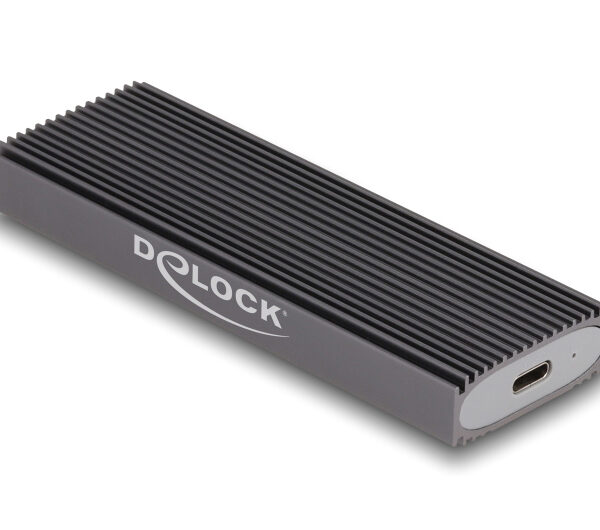 DELOCK θήκη για M.2 NVMe PCIe/SATA SSD 42019